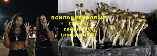 мяу мяу мука Арсеньев