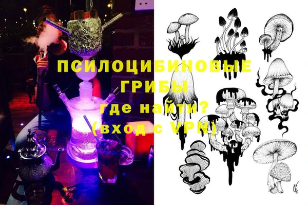 герыч Осинники