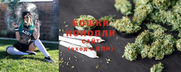 гашик Аркадак