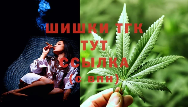 гашик Аркадак